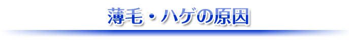 薄毛・ハゲの原因