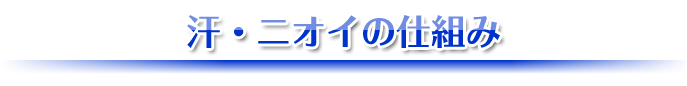 汗・ニオイの仕組み