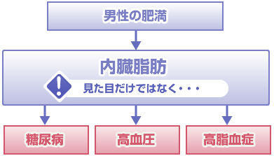 男性の肥満の特徴イラスト